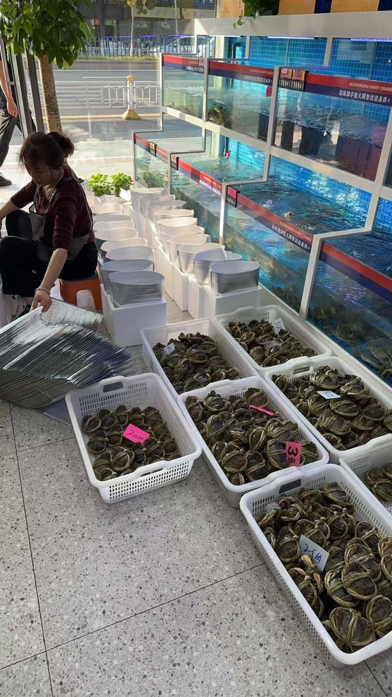 江苏固城湖大闸蟹母蟹肉质鲜美，规格齐全，欢迎选购