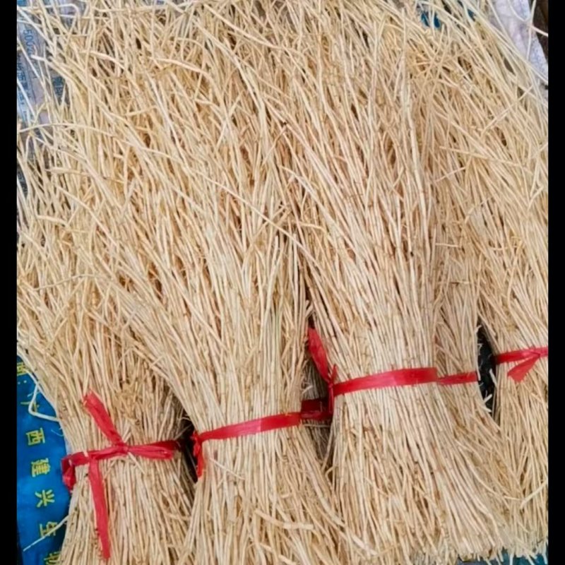 鲜白茅根白茅根无硫新货茅根白茅根白茅草无硫通段专注品质