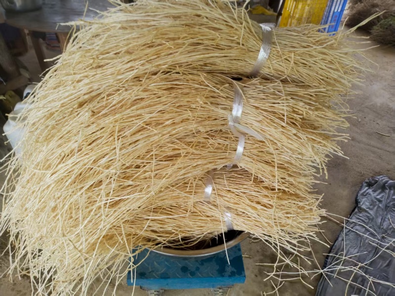 鲜白茅根白茅根无硫新货茅根白茅根白茅草无硫通段专注品质