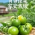 青甜小番茄，现摘现发，早餐配酸奶、脆甜多汁