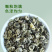 广西茉莉花茶叶2025新茶横县曲螺银螺浓香型茶叶散装批发