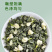 广西茉莉花茶叶2025新茶横县曲螺银螺浓香型茶叶散装批发