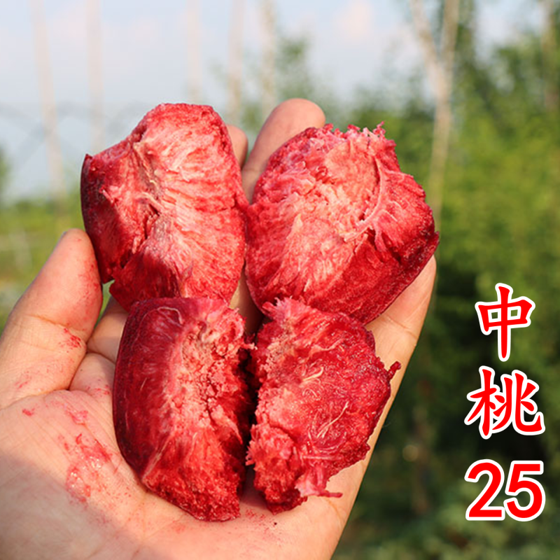 【中桃25号桃苗】中桃25号血桃苗紫桃苗红肉血桃猪血桃树