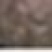 玉皇李桃花李御黄李黄肉果大肉厚核小丰产易管理李子树