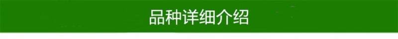 苏达木李6月熟高产碧绿红心李香味浓近似味帝嫁接李子树