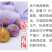 艾琳娜晚熟新品种9月艾琳娜新疆西梅李子树苗