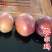 【塔尔玛西梅苗】早熟新品种7月新疆西梅李子树苗