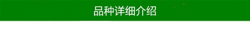 【大红袍软枣猕猴桃苗】新品种大果红心红肉软枣奇异莓树苗