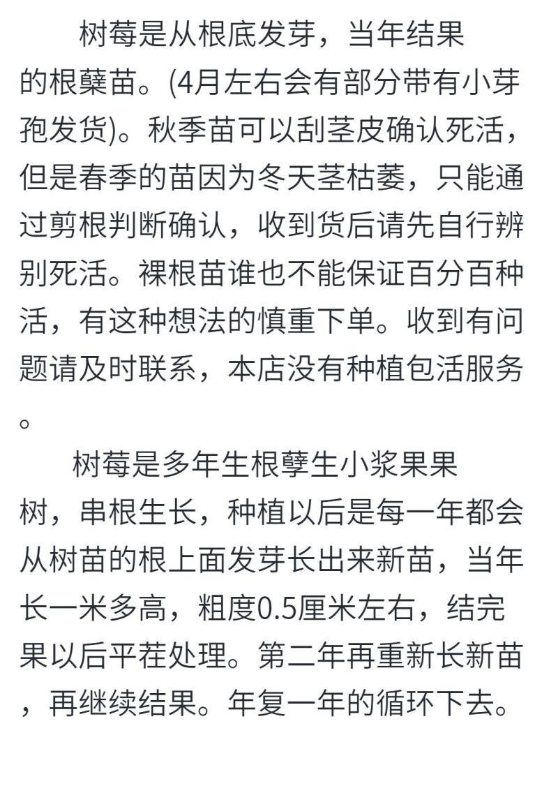 【秋福树莓】哈瑞太兹金秋福新品种黄泡双季黄红智利黑树莓苗