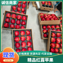 精品红露苹果产地直发量大从优质量保证诚信经营欢迎咨询