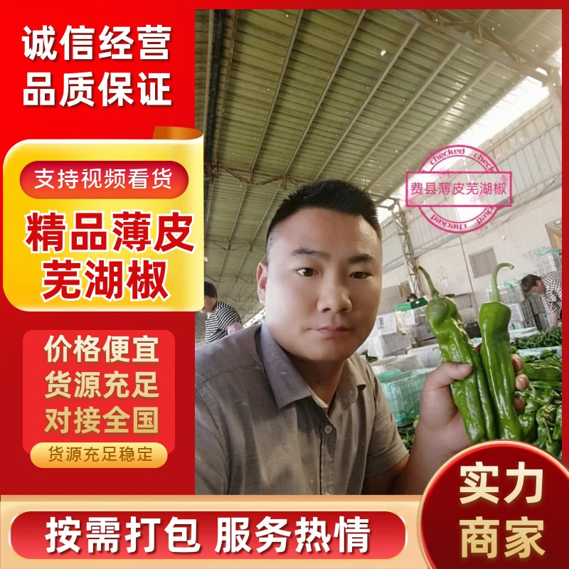 费县新鲜精品薄皮芜湖椒电商市场批发超市直供，原产地直供