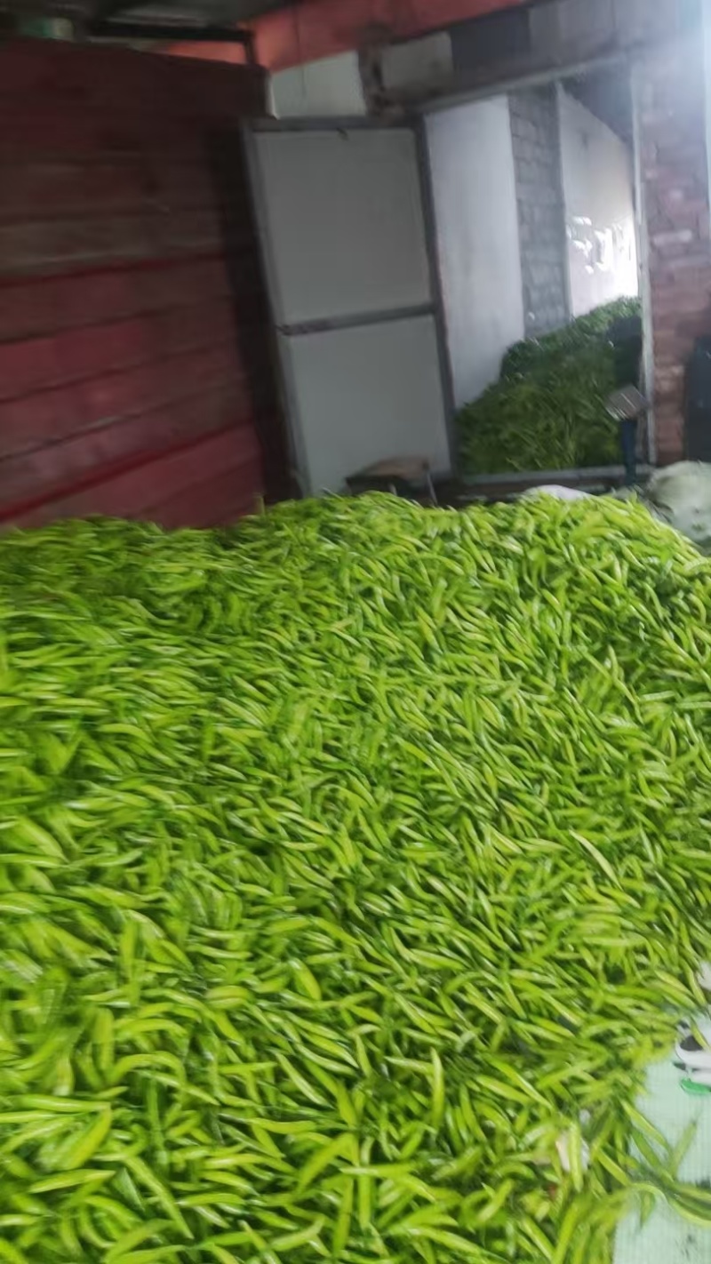 辣椒螺丝椒杭椒尖椒价格便宜货源充足
