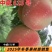 中威615红毛桃6月上中旬玫瑰香蜂蜜味道的桃树苗