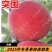突围水蜜桃6月中旬成熟口感蜜甜特丰产的桃树苗
