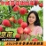 芽变甜如蜜特早熟白肉毛桃5月25日成熟口感酥脆水分足