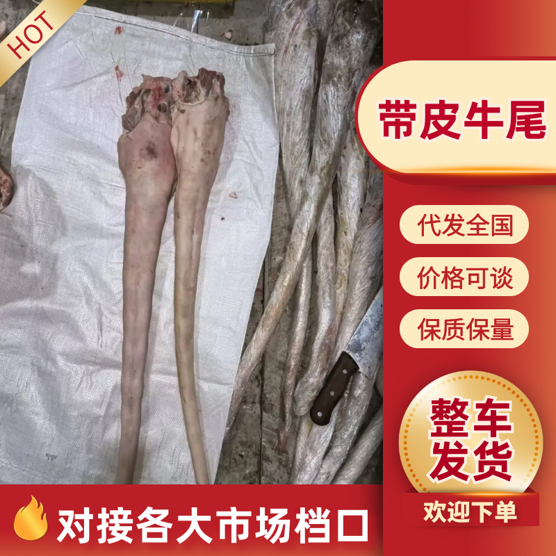 带皮牛尾厂家直发品质保障对接全国市场量大优惠