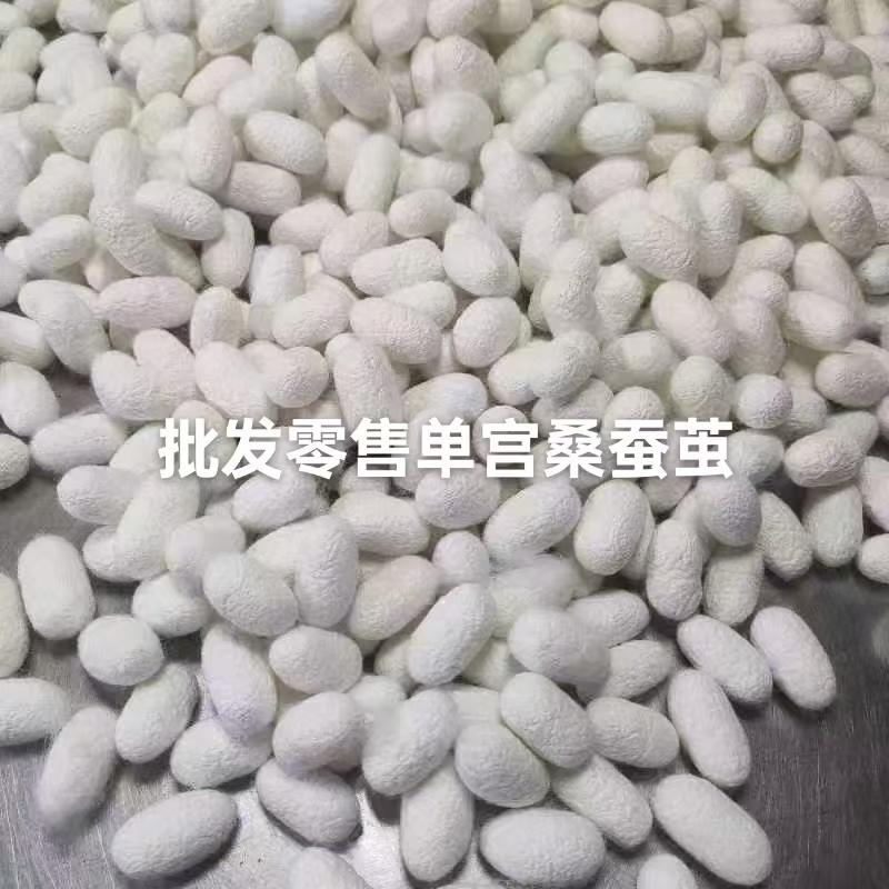 常年收购加工批发零售双宫茧，单茧，削口茧批发全国包邮
