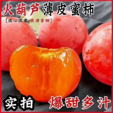 《水晶柿子》陕西火葫芦/陕西吊红柿子/一件代发便宜