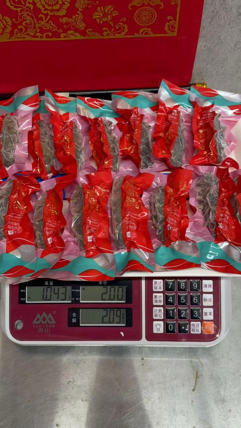 大连海参冷冻海参鲜食海参口感好价格实惠运输便利欢迎电联