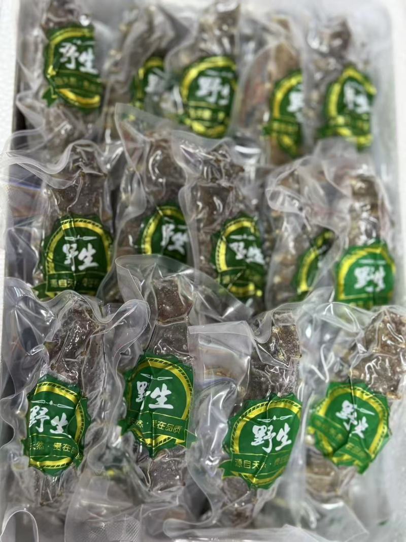 大连海参冷冻海参鲜食海参口感好价格实惠运输便利欢迎电联
