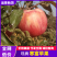 辽宁葫芦岛韩富苹果大量供货/精品寒富苹果产地直发量大从优