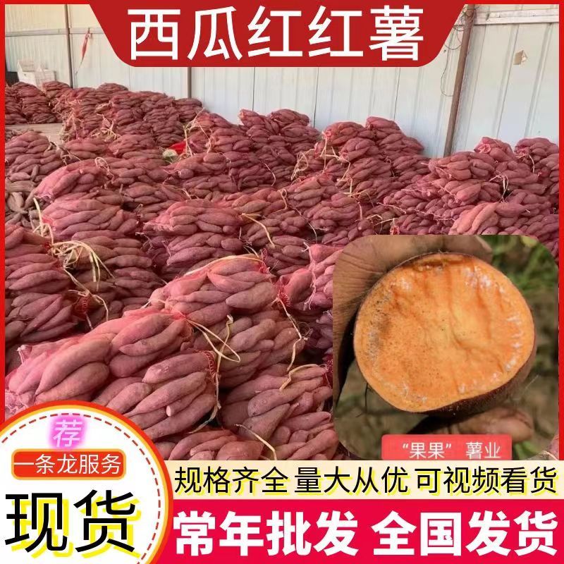 【精选】西瓜红蜜薯（常年供应）纯沙地红薯/全国发货