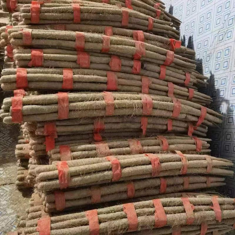 邢台，邯郸双棒山药。产地直发，地头装车，可加工各种规格，