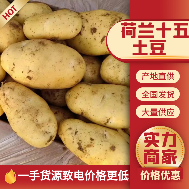 土豆，沃土，西森，三两起步，超市品质欢迎来电