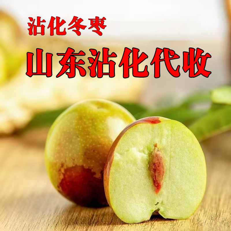 沾化冬枣原产地代收免费提供收购厂地