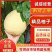 【精品柚子】红/白心柚套袋，个大皮溥水份充足，产地直发