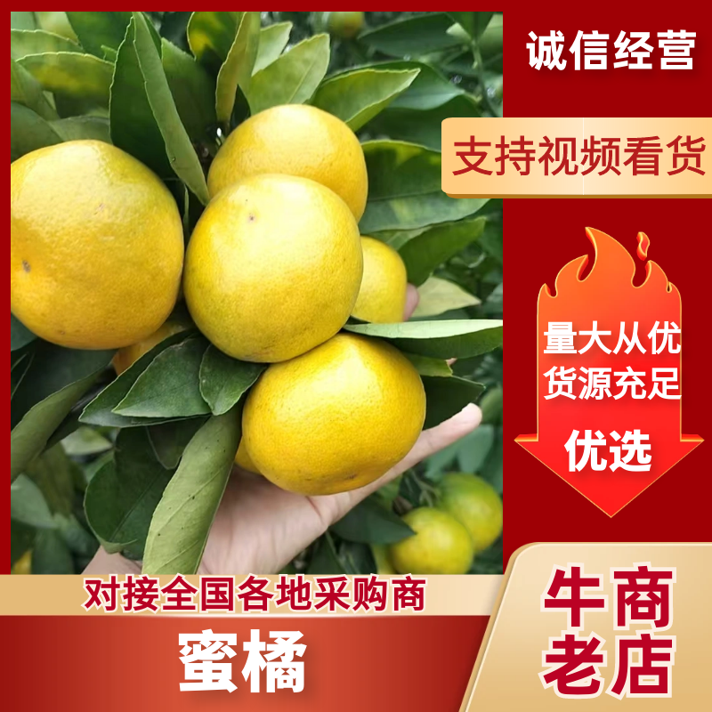 汉中小叶桔柑桔蜜橘桔子，色泽光亮，货源充足，诚信买卖