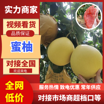 蜜柚广西蜜柚基地直发皮薄多汁万亩果园持续供货