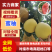 蜜柚广西蜜柚基地直发皮薄多汁万亩果园持续供货