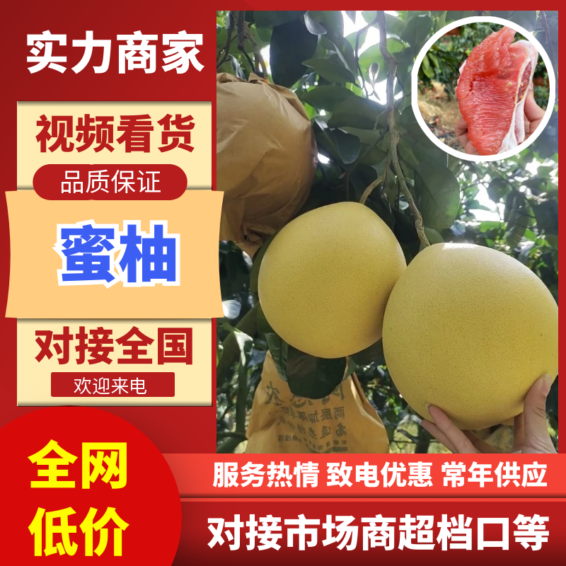 蜜柚广西蜜柚基地直发皮薄多汁万亩果园持续供货