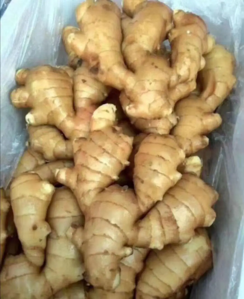 云南精品生姜/大黄姜/产地直发/可视频看货/欢迎咨询