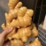 云南精品生姜/大黄姜/产地直发/可视频看货/欢迎咨询