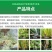 30%恶霉灵青枯病根腐病枯萎病立枯病猝倒病土传病害杀菌剂