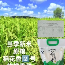 稻花香大米产地直销规格齐全价格优惠一手货源欢迎采购