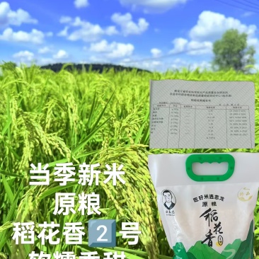 稻花香大米产地直销规格齐全价格优惠一手货源欢迎采购