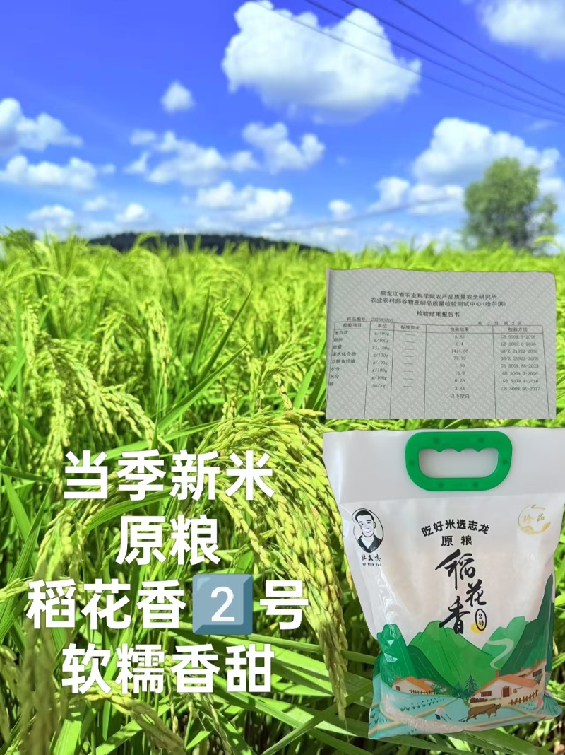 稻花香大米产地直销规格齐全价格优惠一手货源欢迎采购