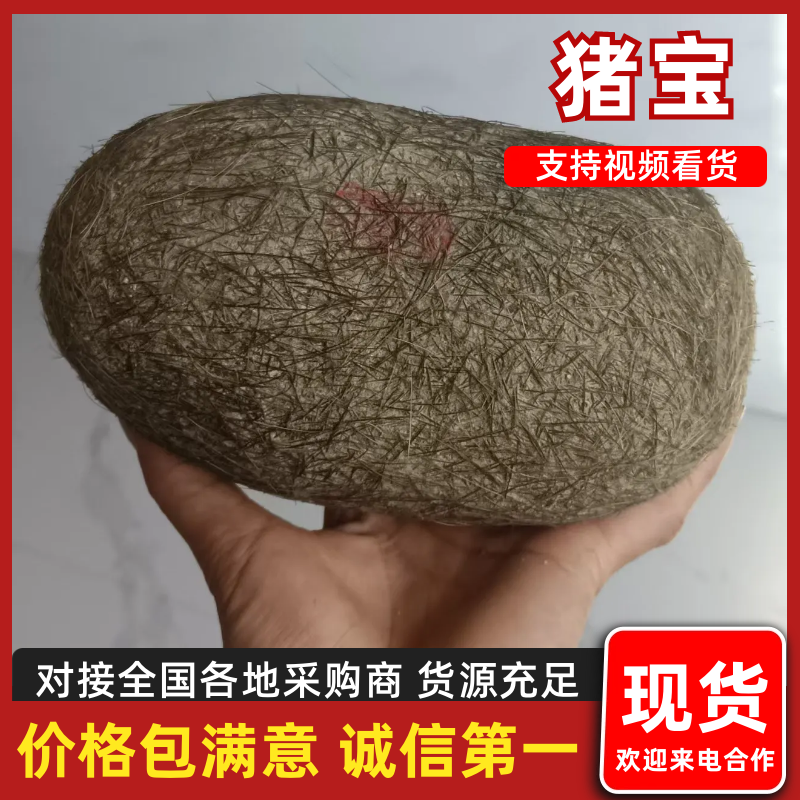 猪宝基地直发保证质量有需求的客户欢迎咨询