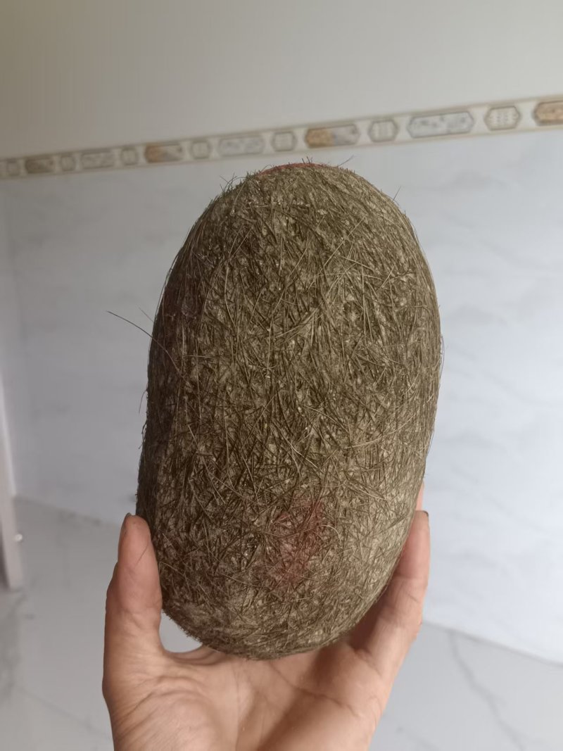 猪宝基地直发保证质量有需求的客户欢迎咨询