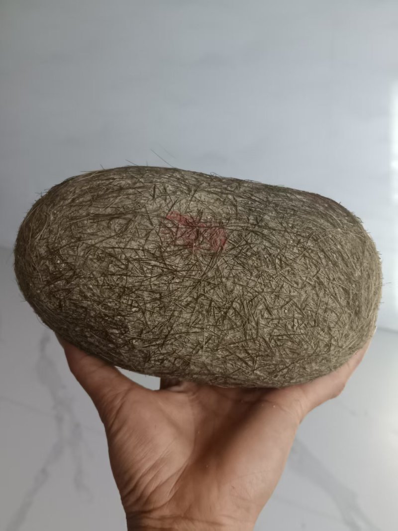 猪宝基地直发保证质量有需求的客户欢迎咨询