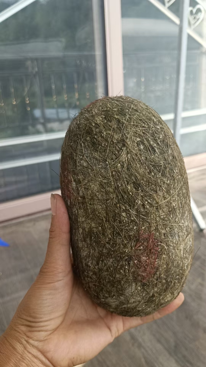 猪宝基地直发保证质量有需求的客户欢迎咨询