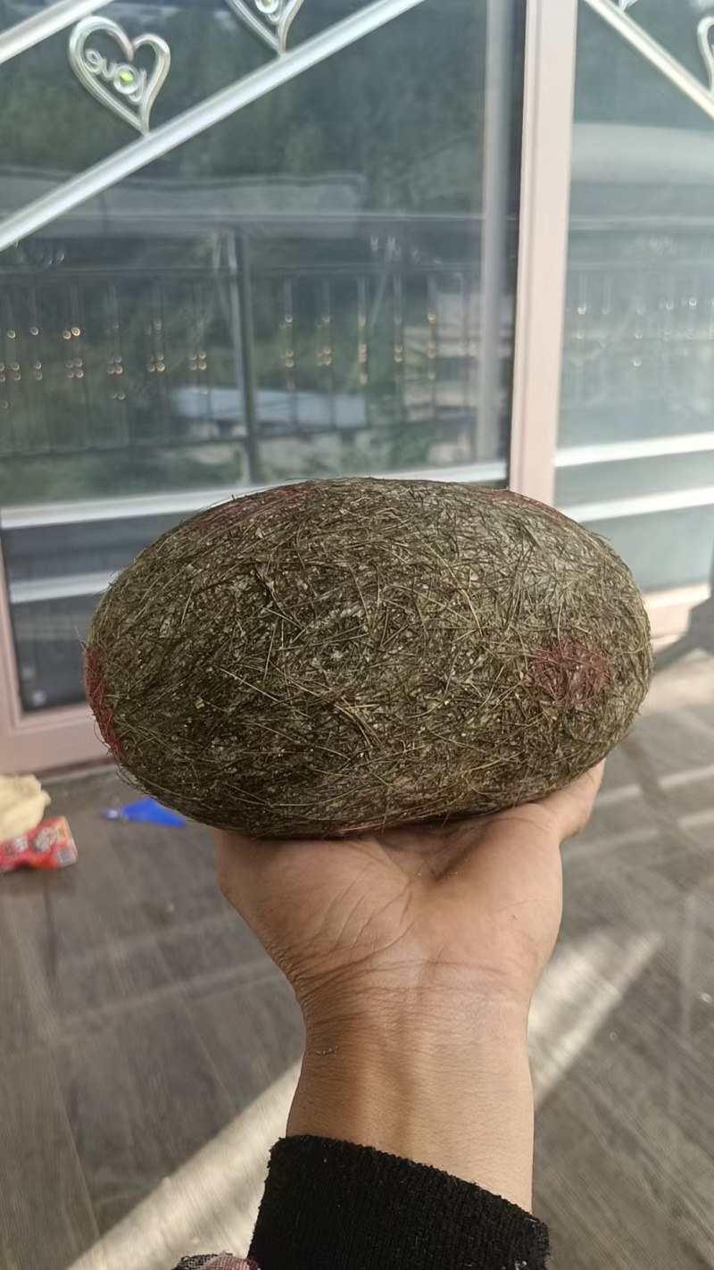 猪宝基地直发保证质量有需求的客户欢迎咨询
