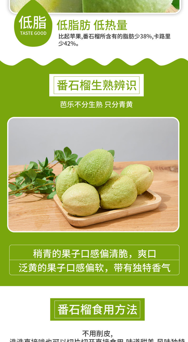 【热卖推荐】广东番石榴红心芭乐果园种植价格实惠清甜可口