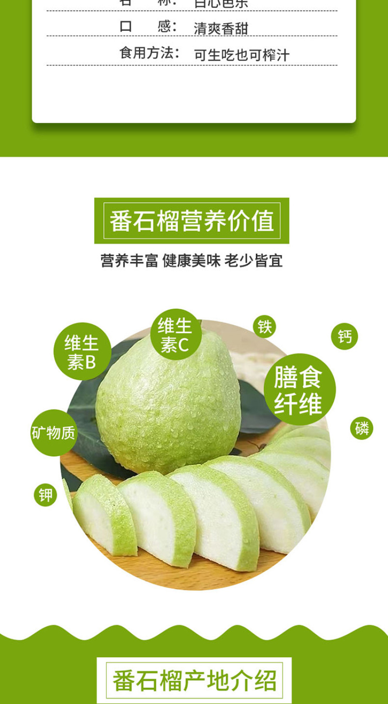 【热卖推荐】广东番石榴红心芭乐果园种植价格实惠清甜可口