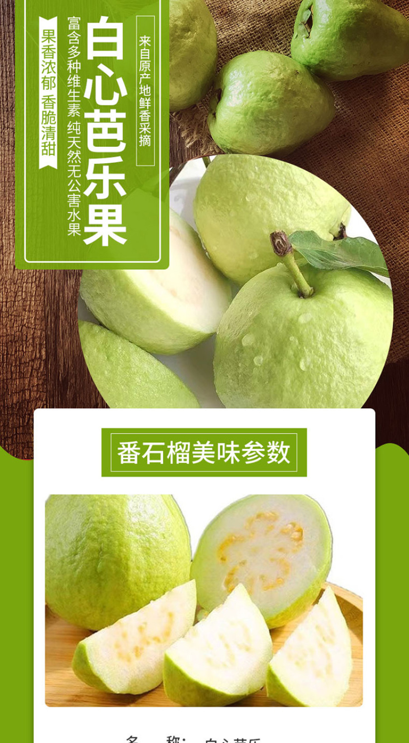 【热卖推荐】广东番石榴红心芭乐果园种植价格实惠清甜可口