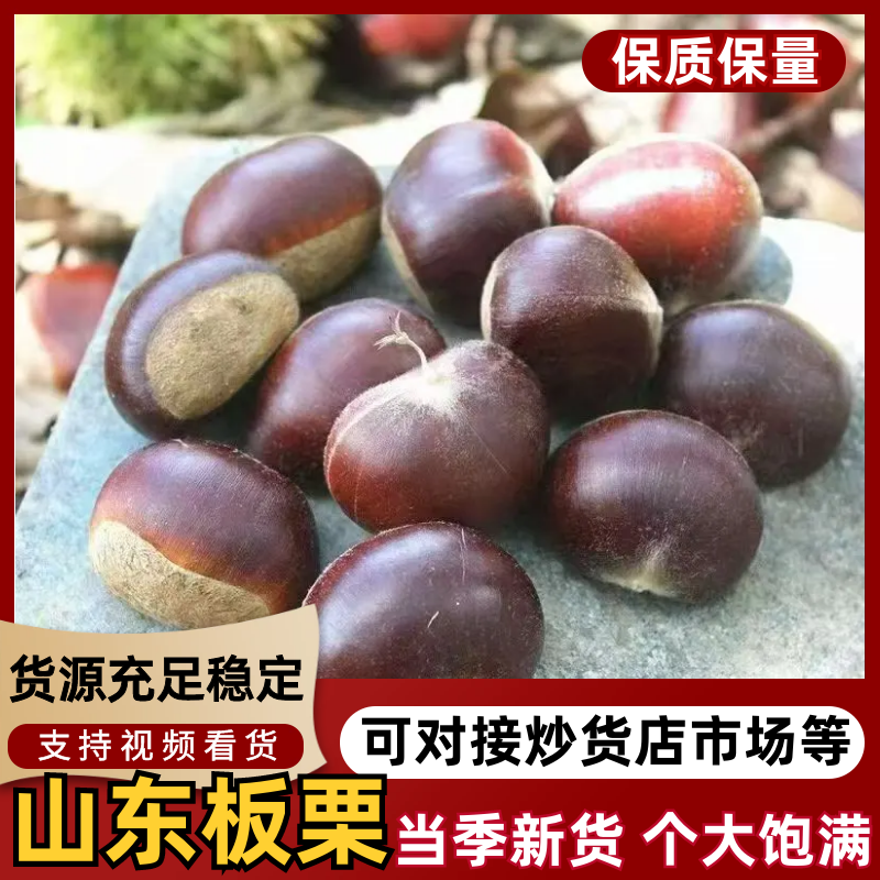《精选》山东2025新板栗基地直发保质保量对接全国一条龙