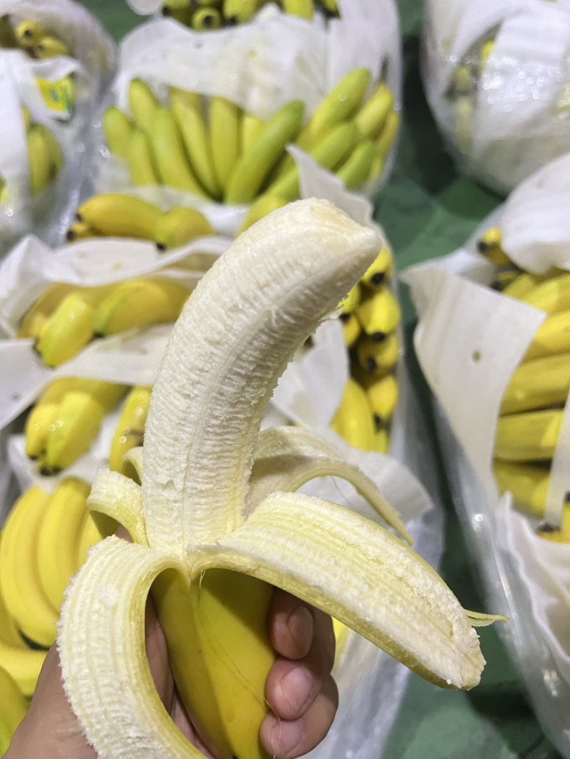 二黄蕉威廉斯皮薄肉多常年供应/精品香蕉软糯香甜物美价廉
